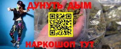 индика Бийск