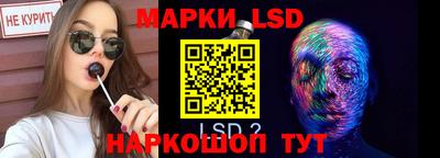 индика Бийск