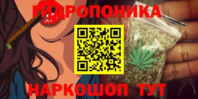 индика Бийск