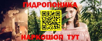 индика Бийск