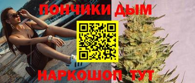 индика Бийск