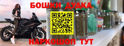 индика Бийск
