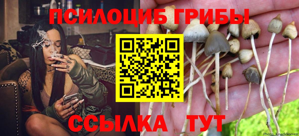 Галлюциногенные грибы ЛСД  Вход с VPN  Балахна 